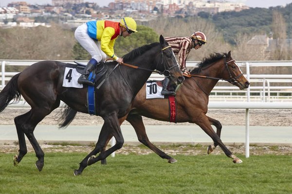 Paris hippique : Maximisez vos chances au quinté