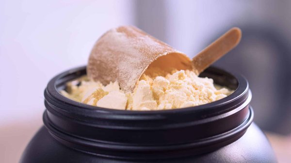 Choix des protéines whey isolat : les critères à considérer